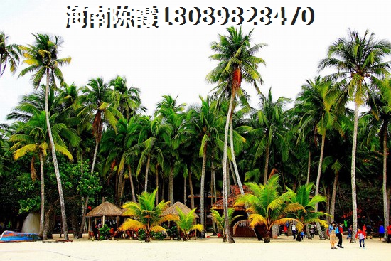 丽江太和荣城